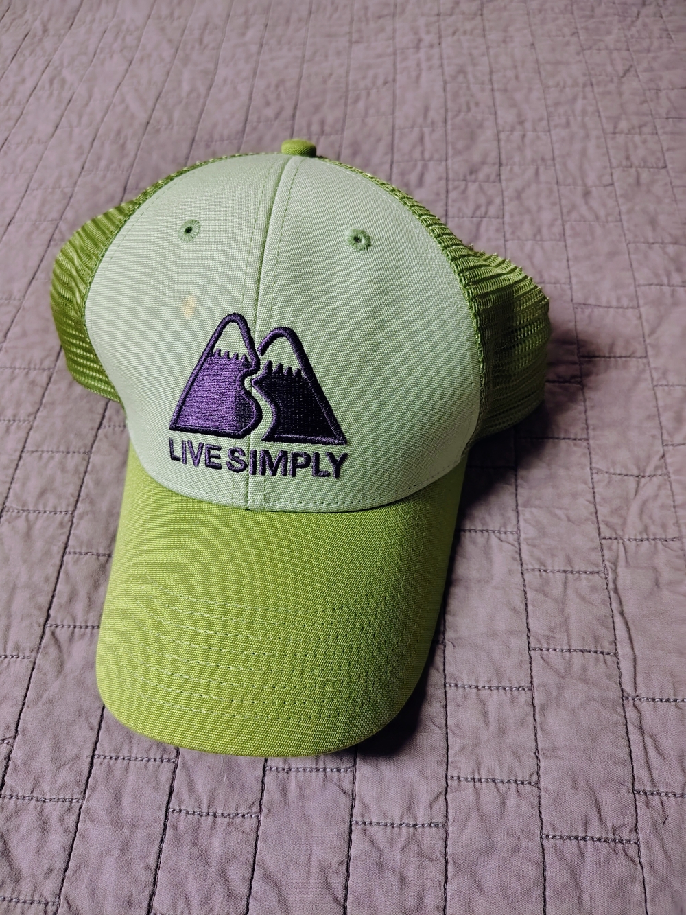 ​Patagonia "Live Simply" Mountain Logo Trucker Hat Cap Green Purple Snapback